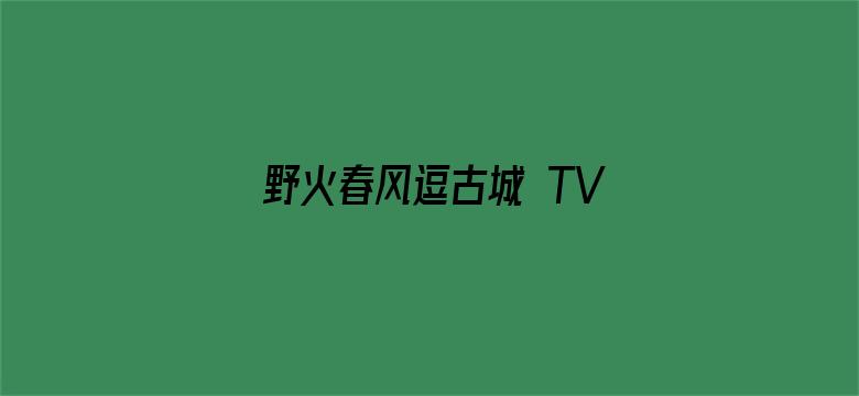 野火春风逗古城 TV版